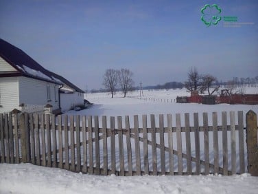 Działka siedliskowa Nomiki