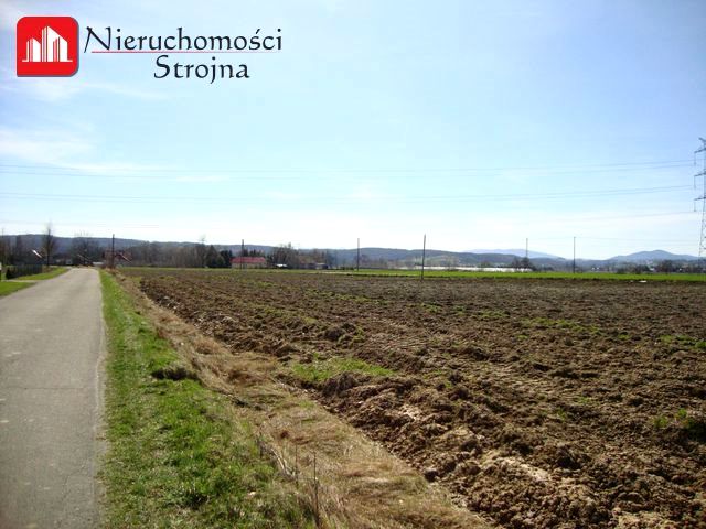 Działka budowlana Niewiarów
