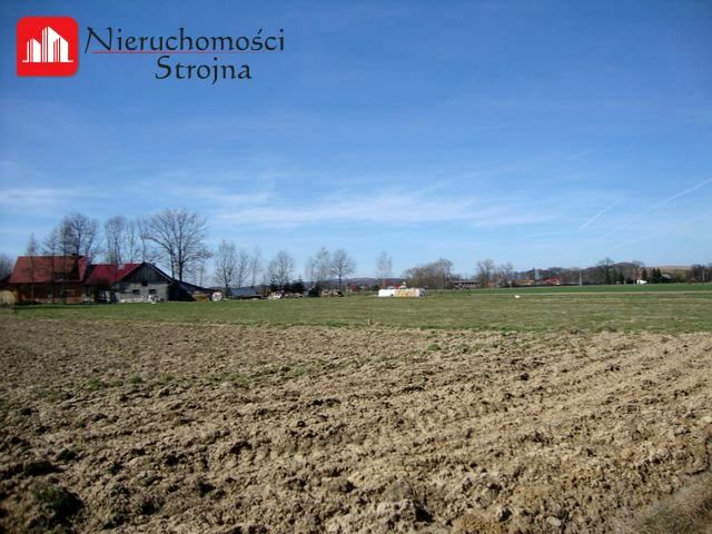Działka usługowa Niewiarów
