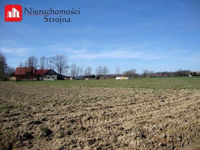 Działka usługowa Niewiarów