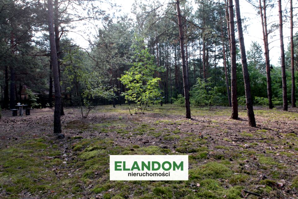 Działka leśna Cyganówka