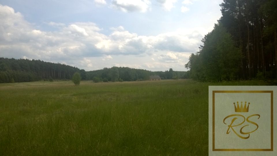 Działka siedliskowa Pąchy