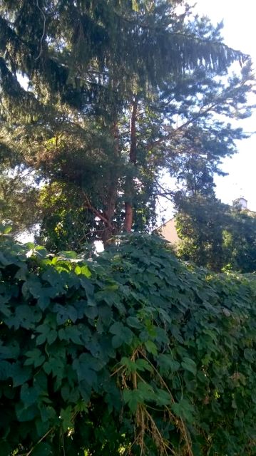 Działka budowlana Warszawa