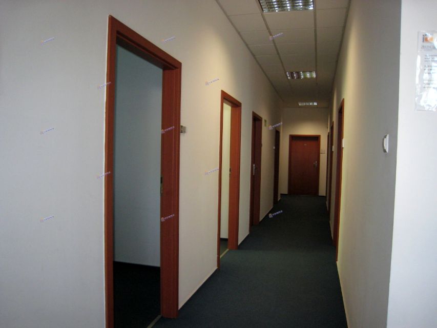 Lokal Warszawa