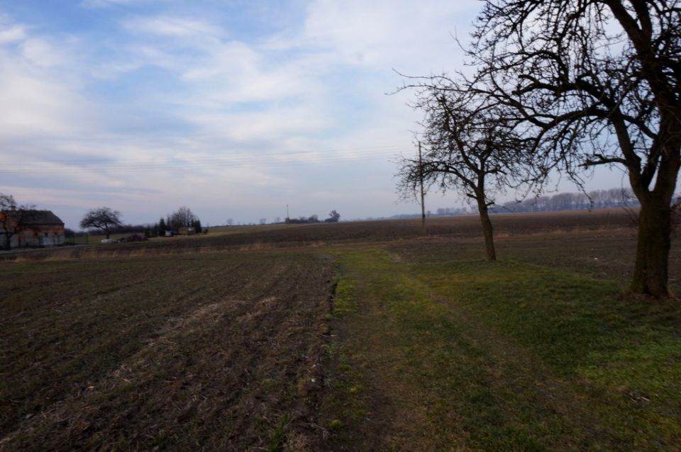 Działka budowlana Węgierskie