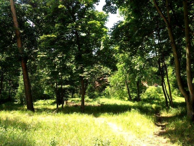 Działka budowlana sprzedam