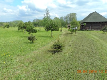 Działka rolno-leśna Jędrzejki