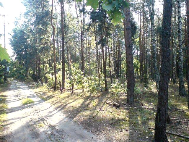 Działka budowlana Warszawa