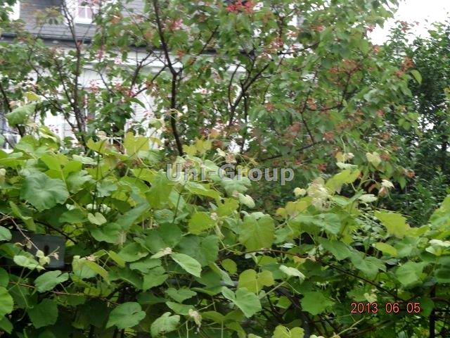 Działka budowlana Warszawa