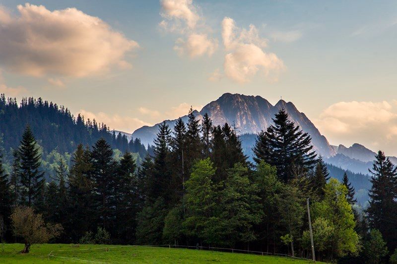 Działka budowlana Zakopane