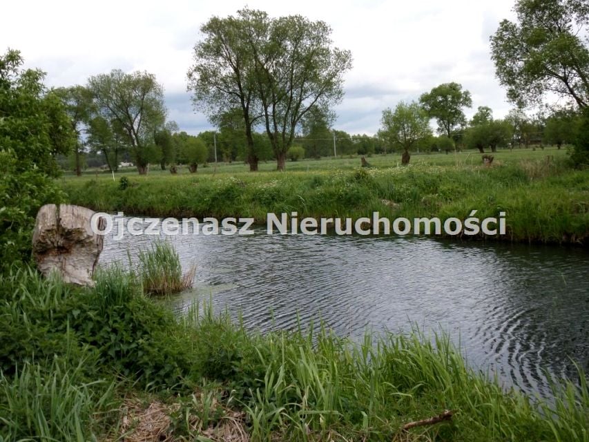 Zdjęcie 2