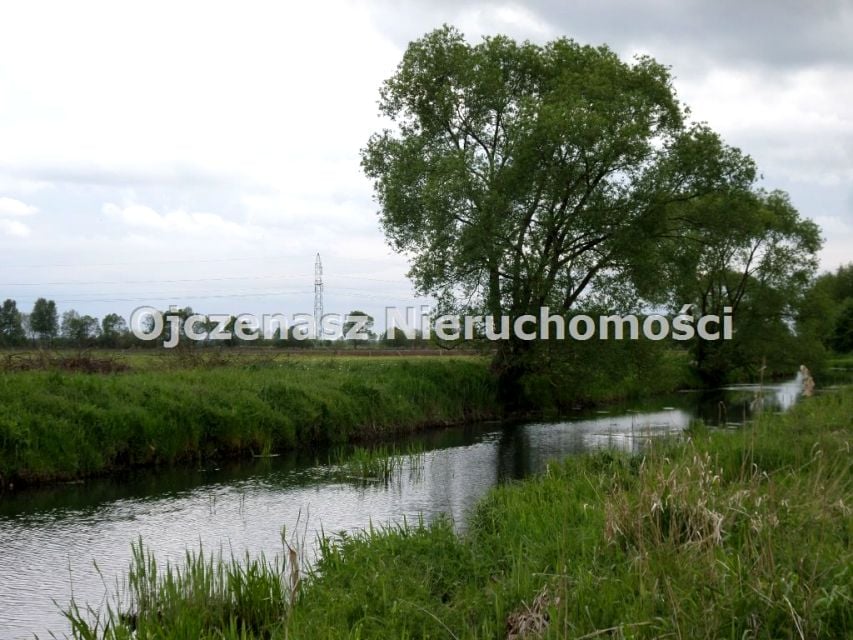 Zdjęcie 3