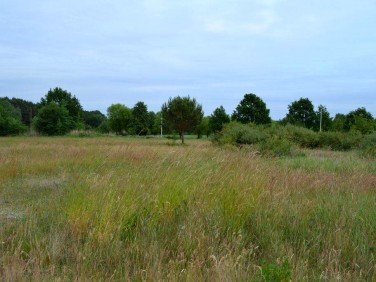 Działka budowlana Dąbrowa