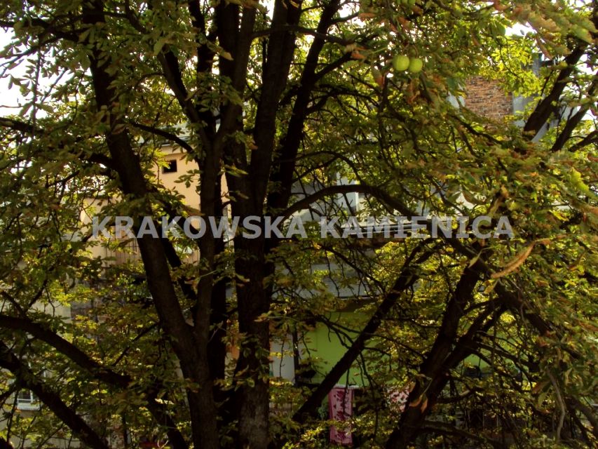 Mieszkanie Kraków