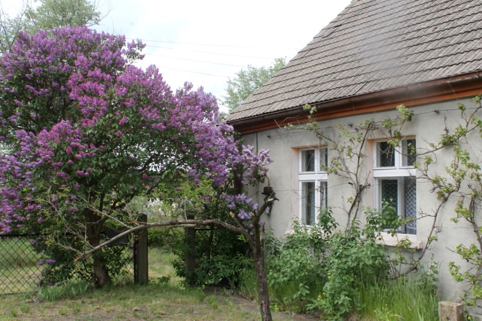 Dom Obrzycko