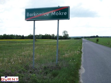 Działka Barkowice Mokre