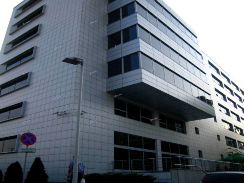 Lokal Warszawa