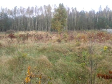 Działka budowlana Budy Mszczonowskie