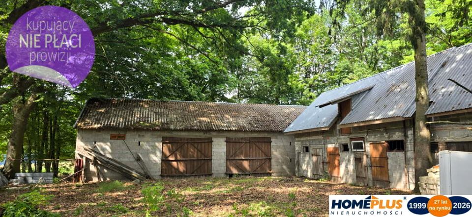 Działka rolna Chrzęsne