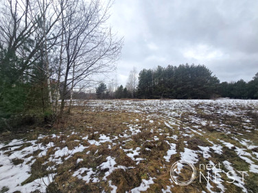 Działka inna Marylka