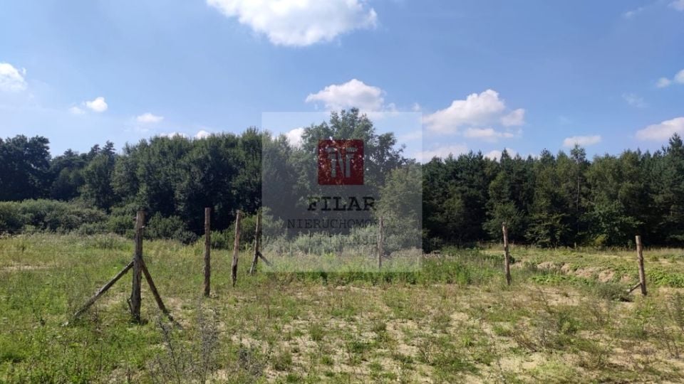 Zdjęcie 2