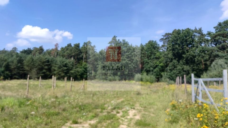 Zdjęcie 3