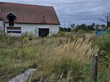 Dom Pniów sprzedaż