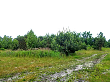 Działka budowlana Krzaki Czaplinkowskie