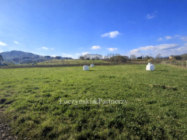 Działka Krzeszów