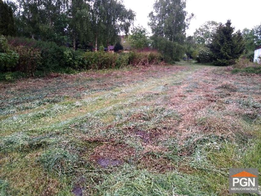 Zdjęcie 3