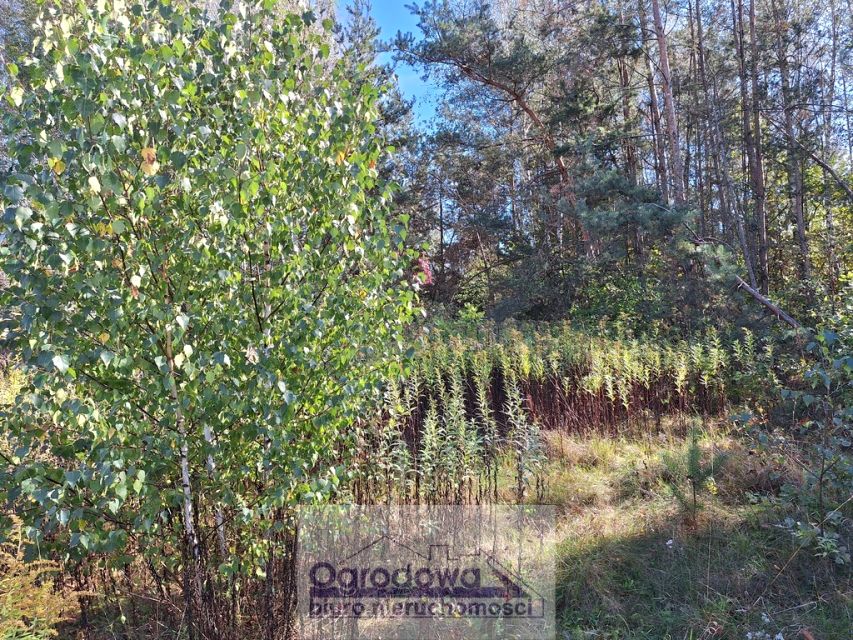 Działka budowlana Chynów