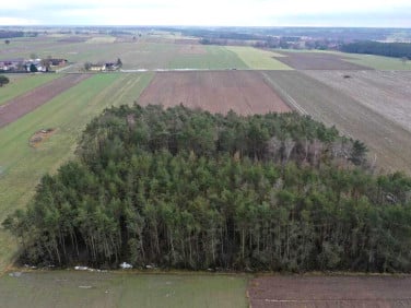 Działka Gutków
