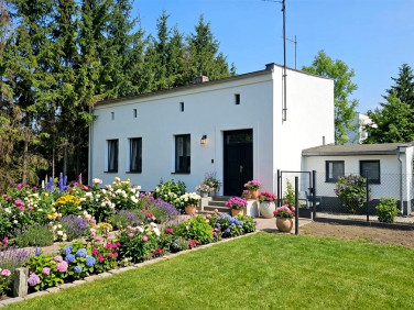 Działka budowlana Sosnowiec