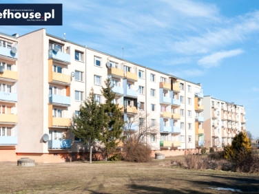 Mieszkanie Żnin