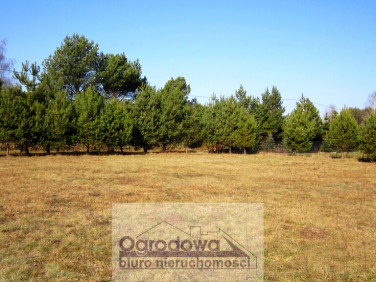Działka Jadów