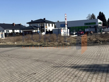 Działka budowlana Rybie