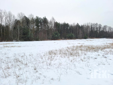 Działka rolna Bartniki