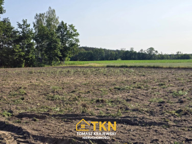 Działka Niemieryczew