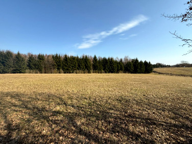 Działka budowlana Linówko