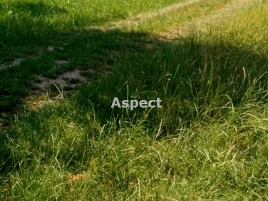 Działka inwestycyjna Wielopole Skrzyńskie sprzedam