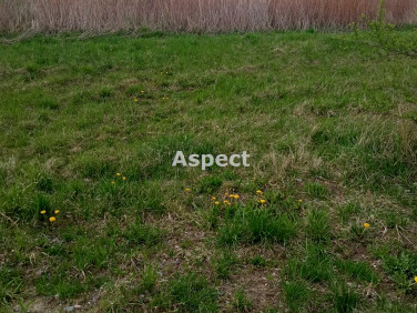 Działka usługowa Jasionka