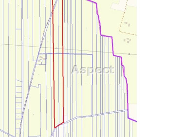 Działka rolna Żychlin