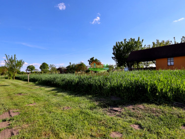 Działka rekreacyjna Jędrzychowice