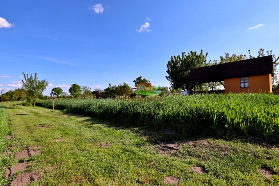 Działka rekreacyjna Jędrzychowice