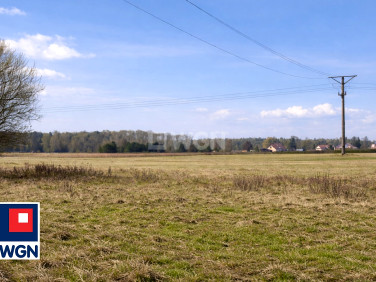 Działka budowlana Orzesze