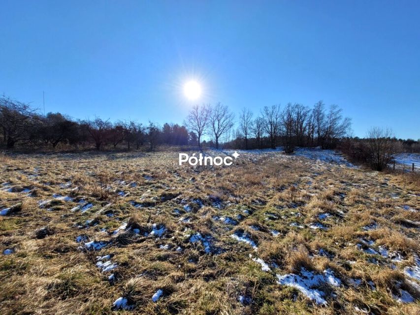 Działka Cielętniki