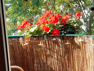 Mieszkanie Łódź sprzedaż