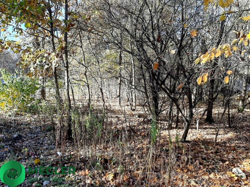 Działka budowlana Żółwin