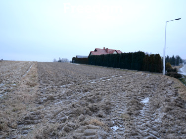 Działka budowlana Przybradz
