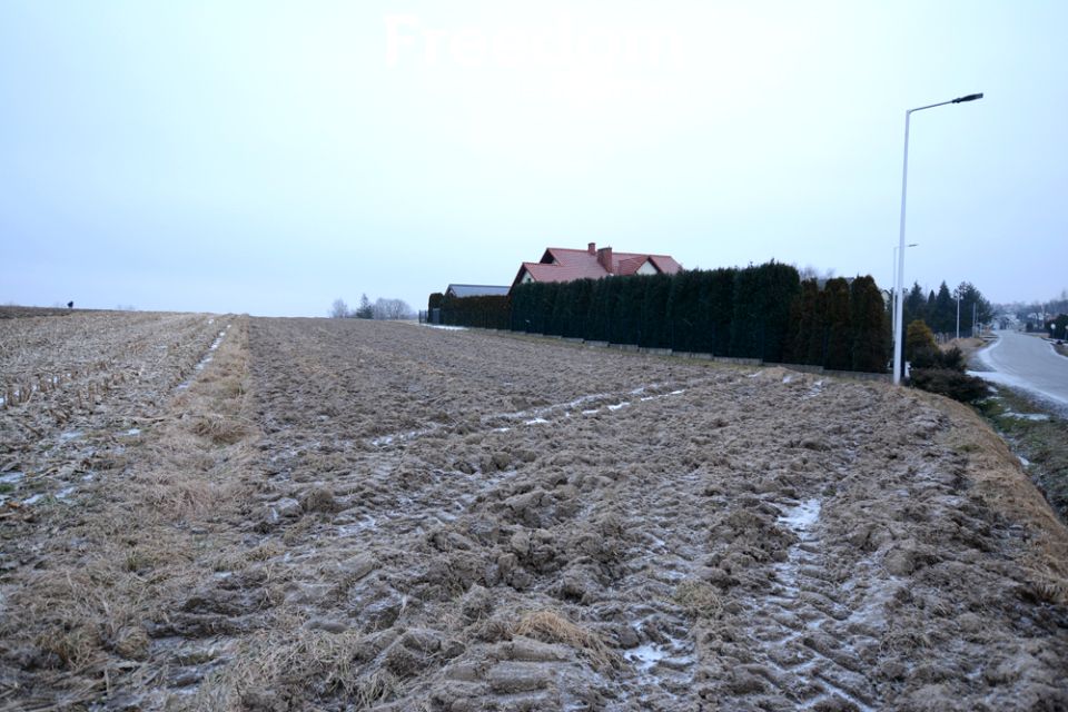 Działka budowlana Przybradz